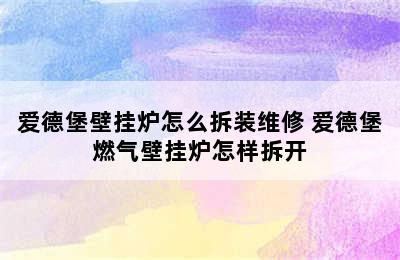 爱德堡壁挂炉怎么拆装维修 爱德堡燃气壁挂炉怎样拆开